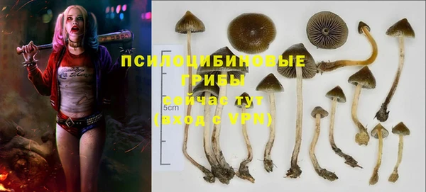 стаф Верхнеуральск