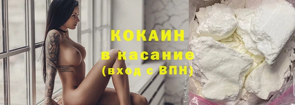 бошки Бородино