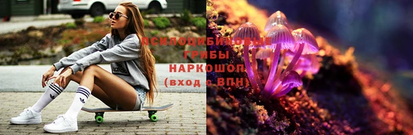 соль ск Бронницы