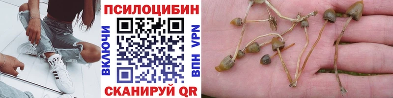 купить наркотики сайты Гусев Галлюциногенные грибы ЛСД